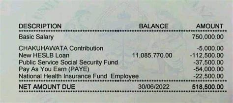 pnp payslip portal|salary slip portal tanzania.